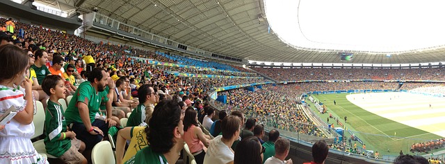 市场在逐年