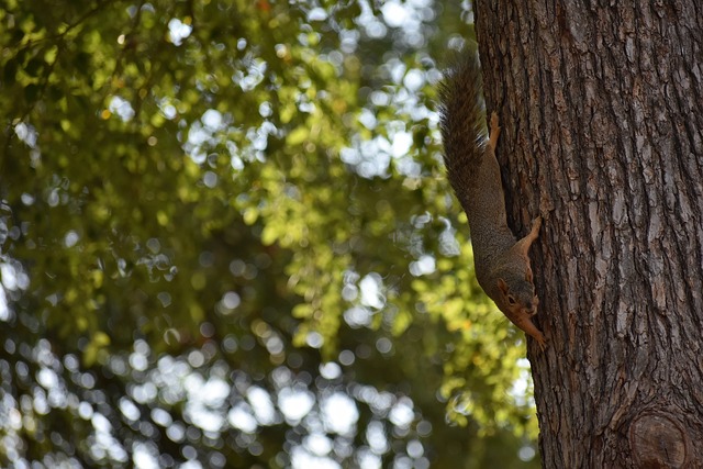 的角度看 的角度看