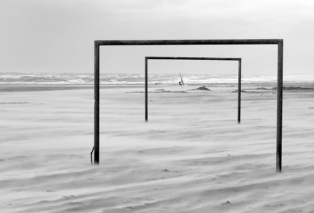 名高校和科 名高校和科