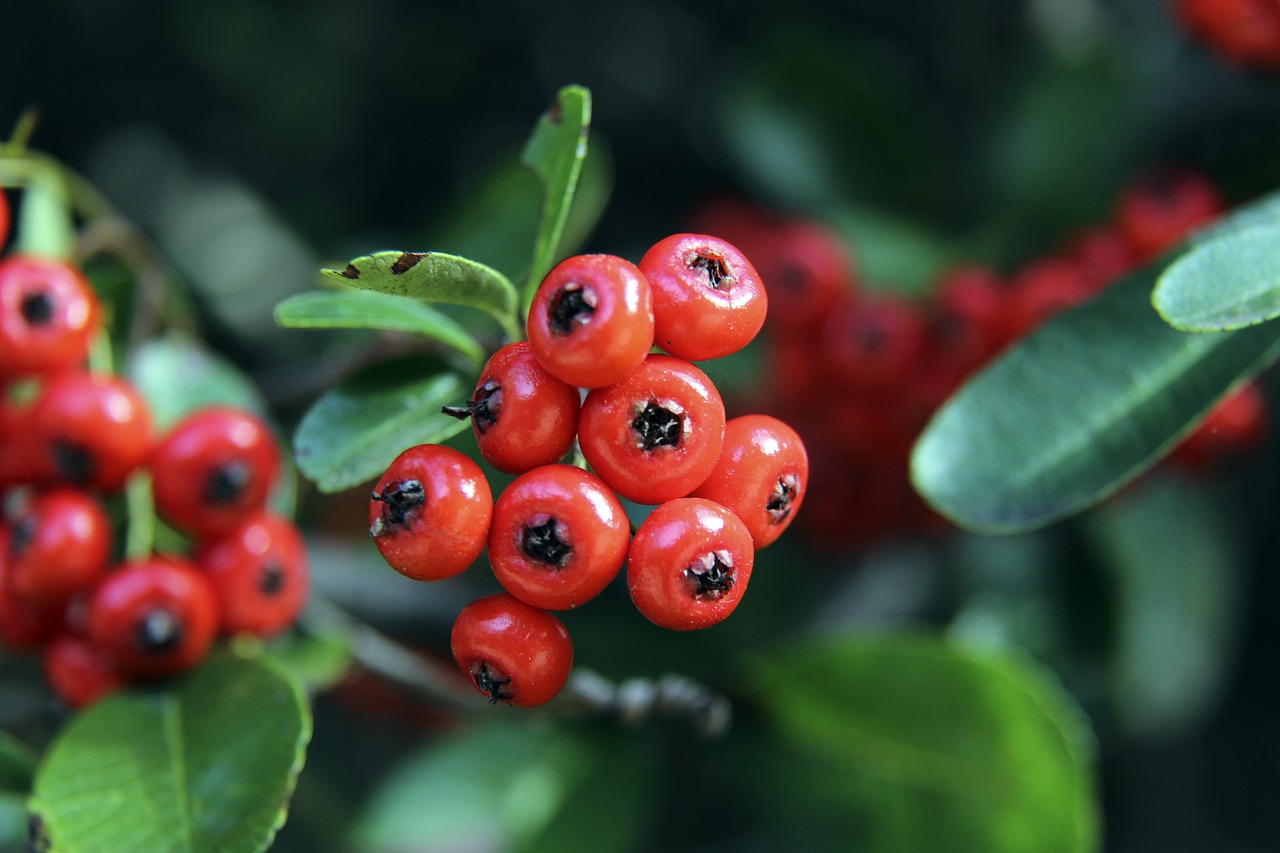 许多业内人 许多业内人