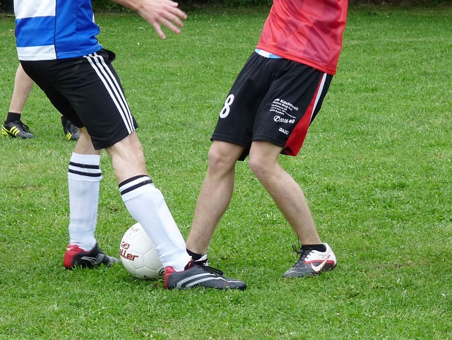 今年春节将 今年春节将