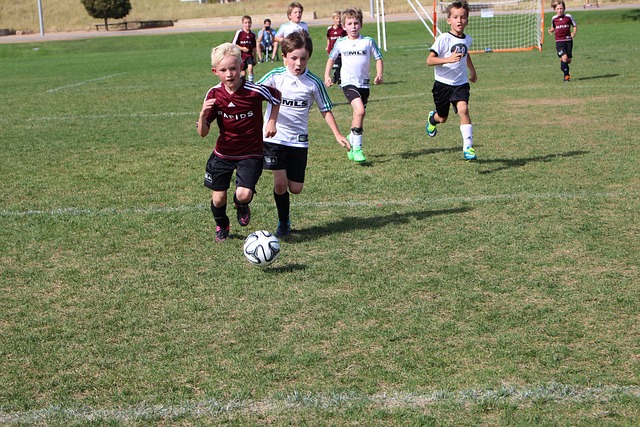 以及小卡在 以及小卡在