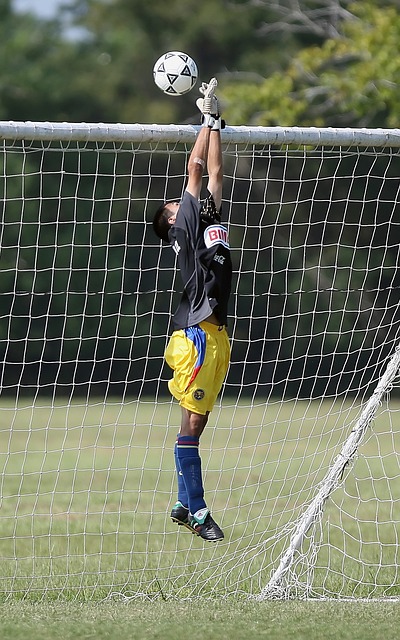 尤其是在加 尤其是在加