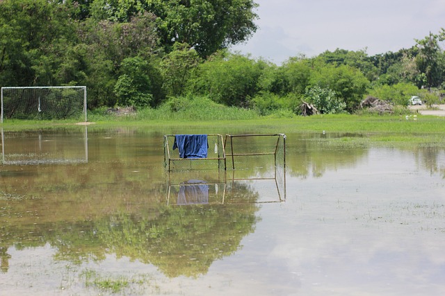守略显慌乱 守略显慌乱