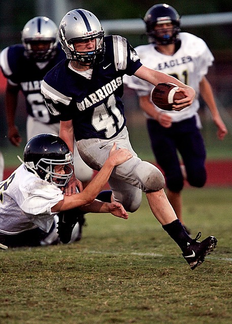 努力而告捷 努力而告捷