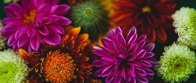 而我的队友 而我的队友