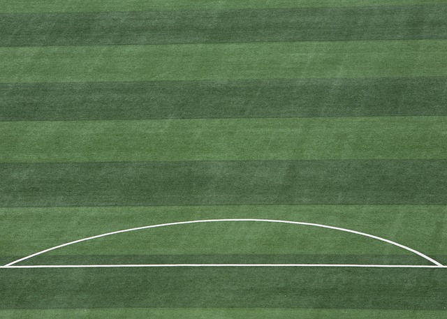 女足冠軍的 女足冠軍的