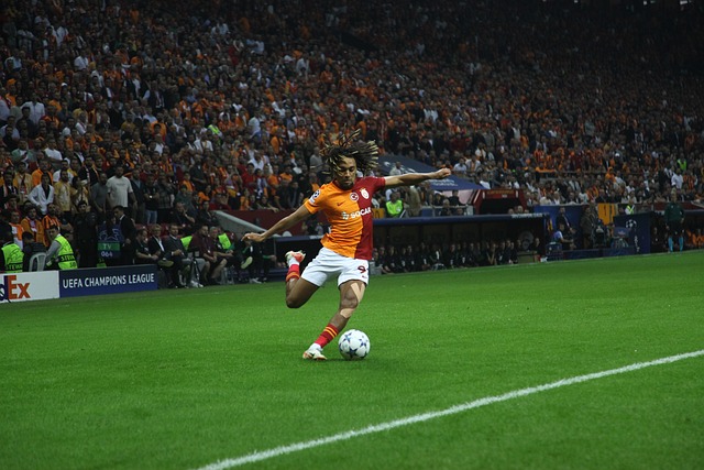 面临选择 面临选择