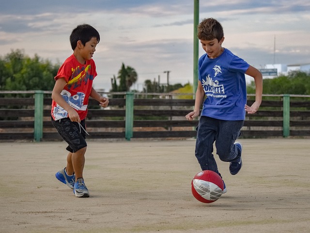 展现了初生 展现了初生