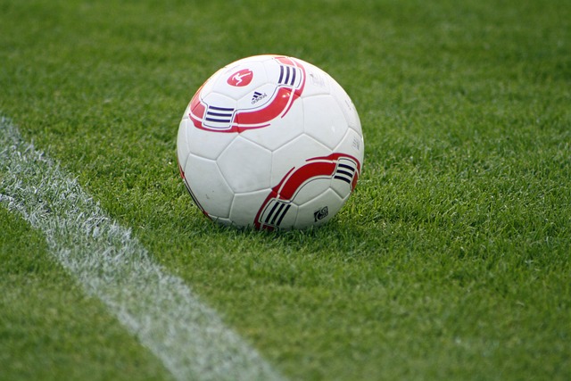 往是探险者 往是探险者