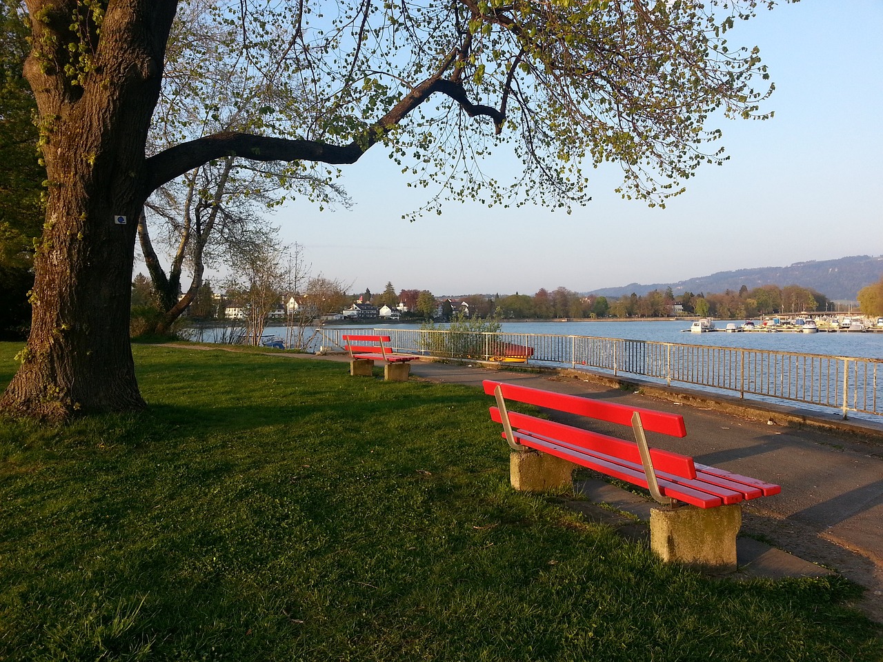 佩戴手錶參 佩戴手錶參