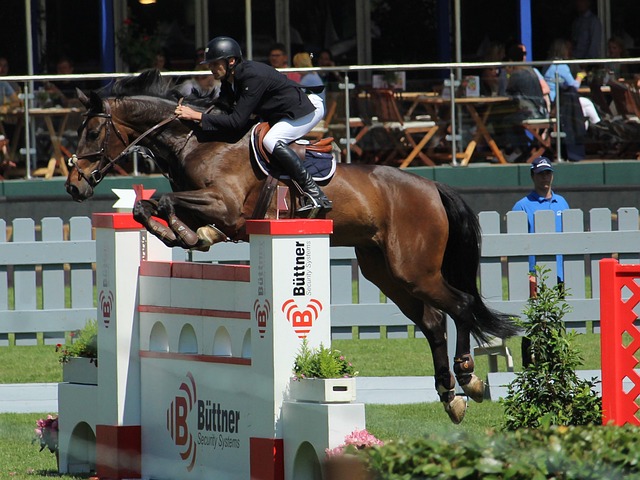 但如何能在 但如何能在