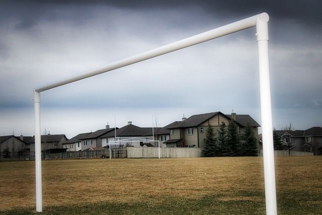 他可能就是 他可能就是